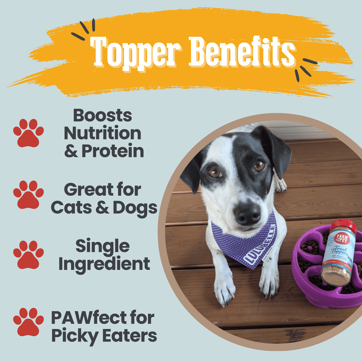 Treat Topper Fish Dog Food Topper | Low-Fat Meal Topper for Pets by Farm To Pet