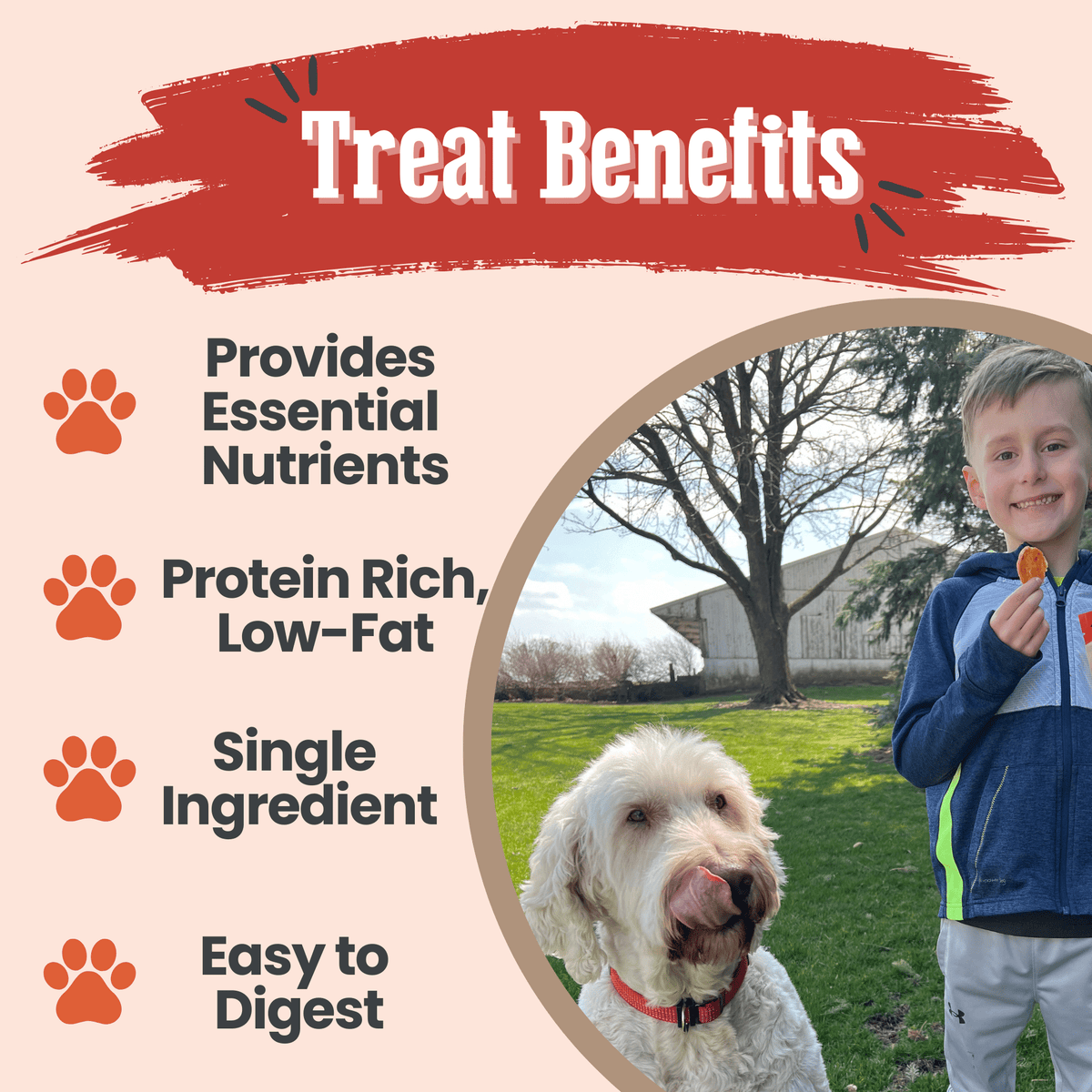 Turkey Chips for Dogs | All-Natural Single-Ingredient Healthy Dog Treats - American Bark Bliss