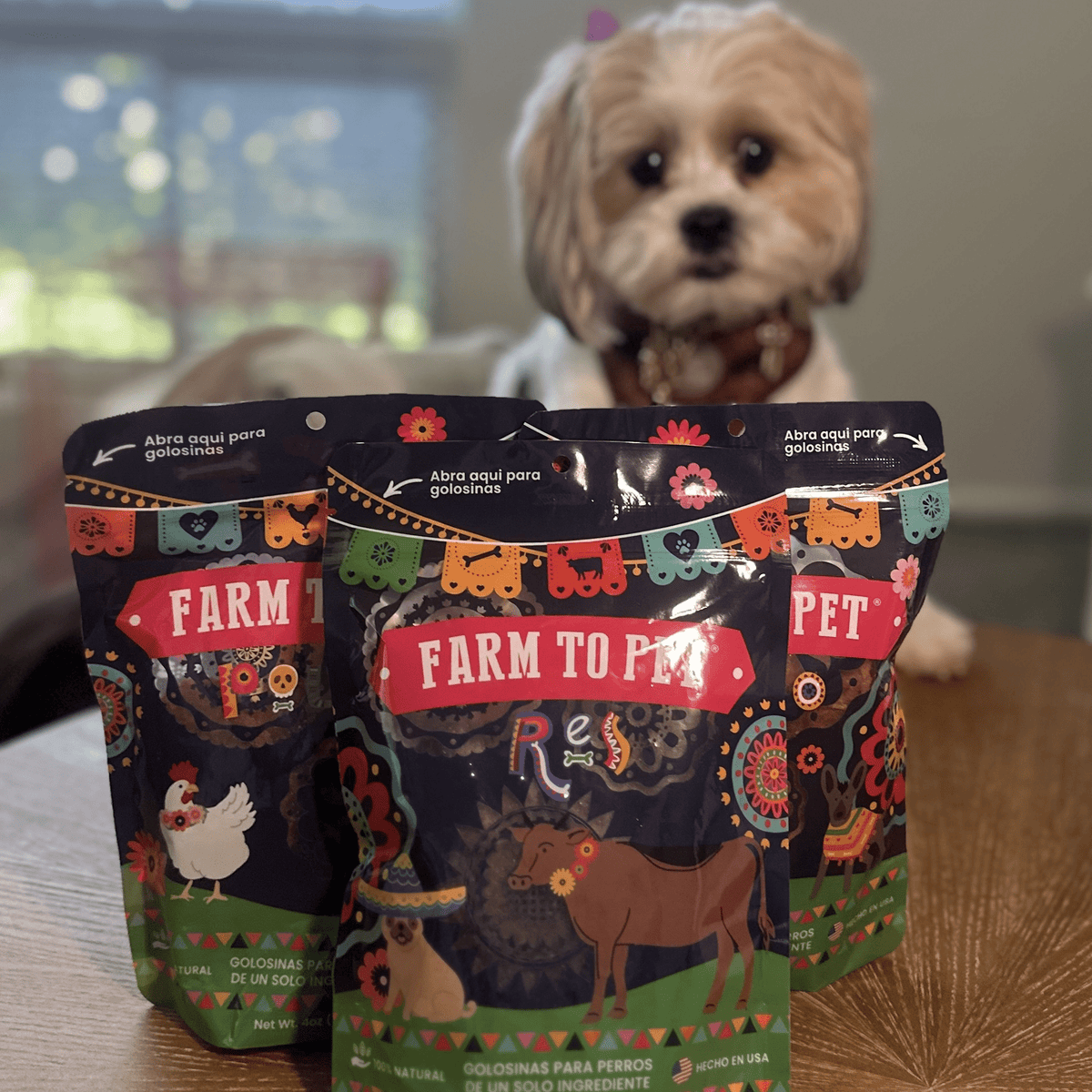 Premios Para Perros Fiesta Pack | Dog Treat Variety Bundle - American Bark Bliss