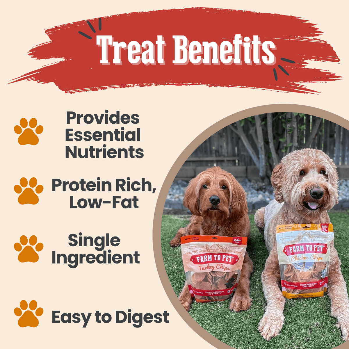 Turkey & Chicken Chip Dog Treat Duo | Single-Ingredient Poultry Treats for Dogs - American Bark Bliss