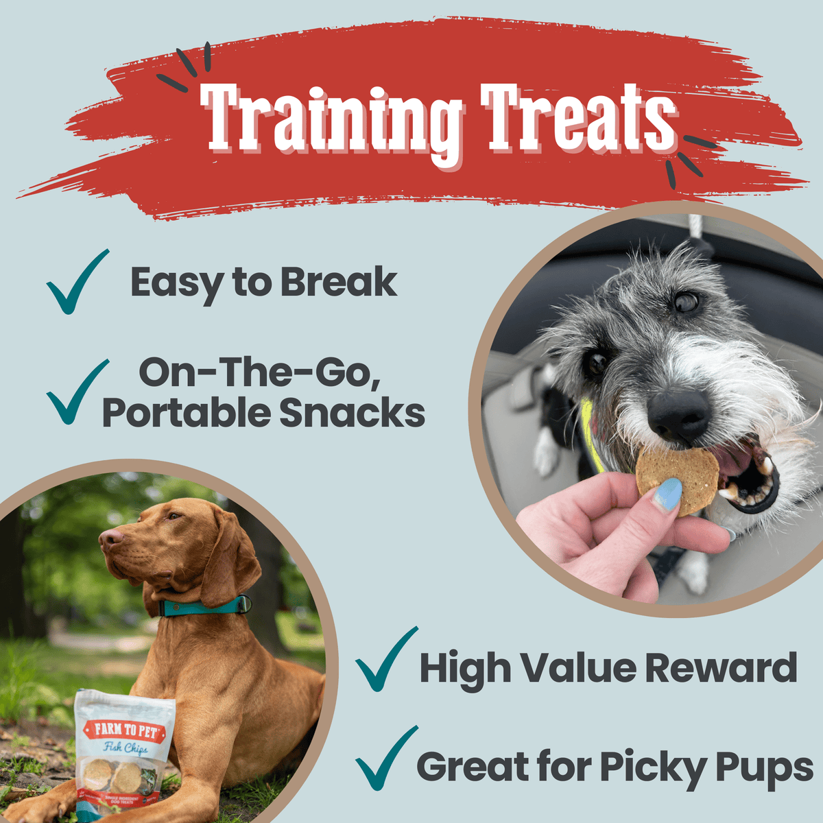 Fish Chips for Dogs | Wild-Caught Fish Dog Treats - American Bark Bliss