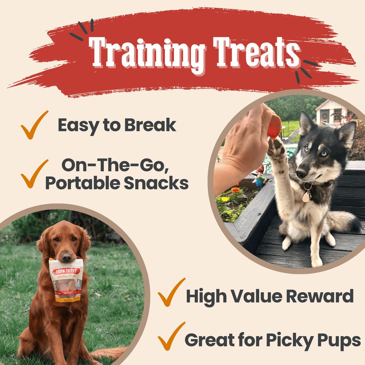 Turkey & Chicken Chip Dog Treat Duo | Single-Ingredient Poultry Treats for Dogs - American Bark Bliss
