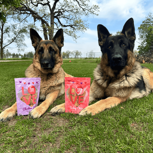 Puppy Love Dog Treat Duo | Poultry Chip Variety Pack by Farm To Pet