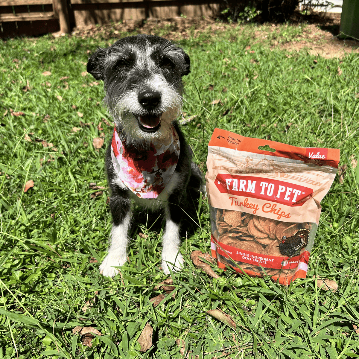 Turkey Chips for Dogs | All-Natural Single-Ingredient Healthy Dog Treats - American Bark Bliss