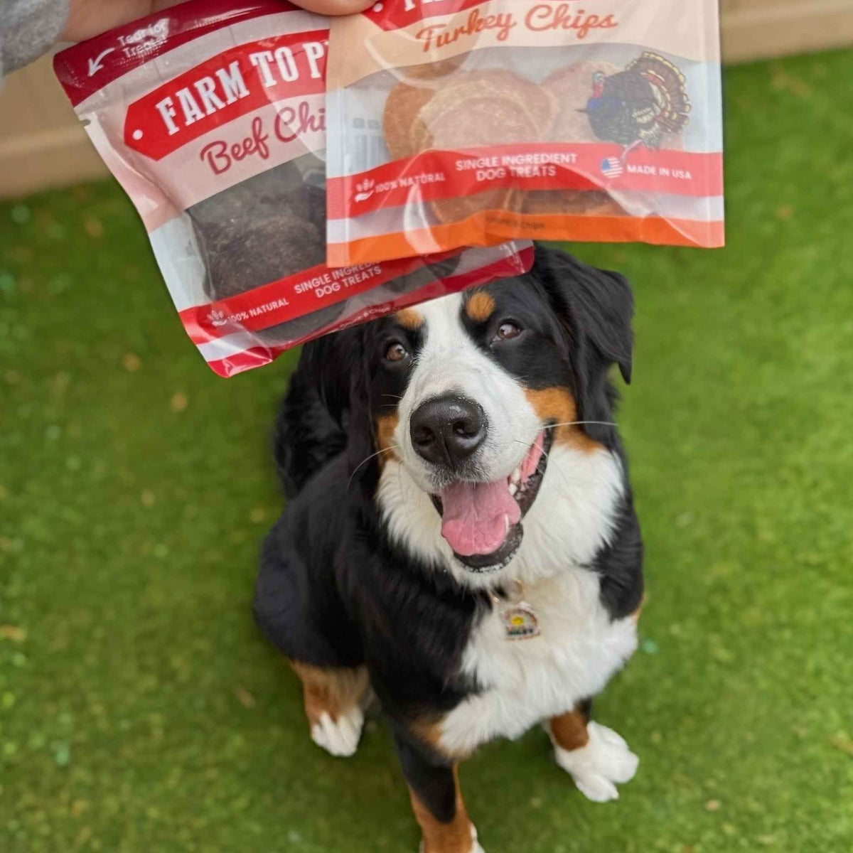 Puppy Packs 'n Snacks Dog Treat Starter Pack | Single-Ingredient Training Treats - American Bark Bliss