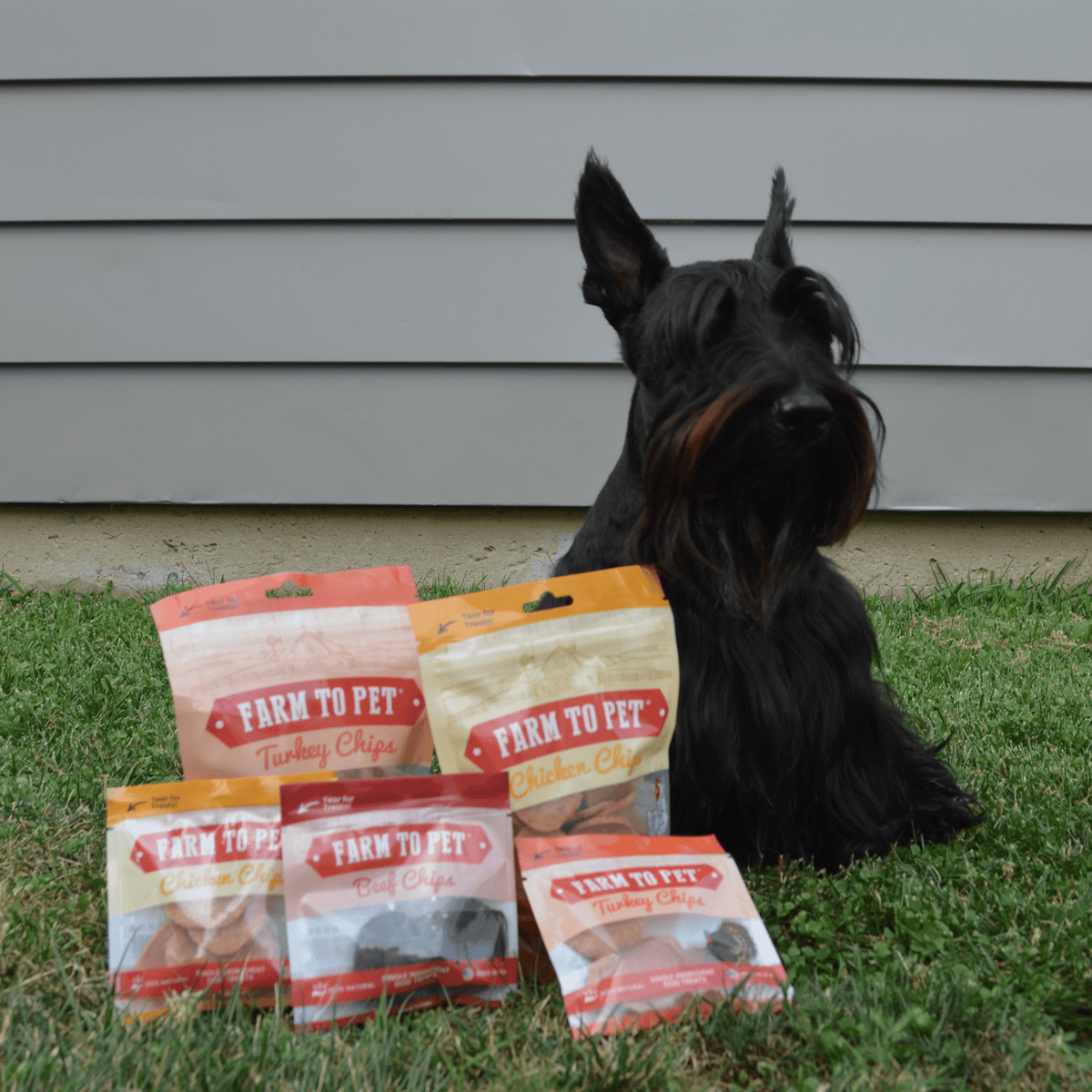 Puppy Packs 'n Snacks Dog Treat Starter Pack | Single-Ingredient Training Treats - American Bark Bliss