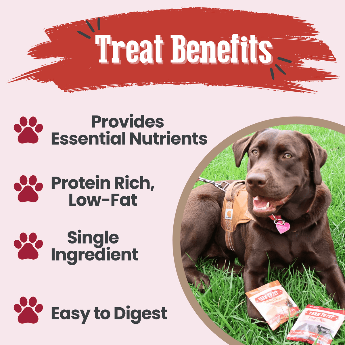 Puppy Packs 'n Snacks Dog Treat Starter Pack | Single-Ingredient Training Treats - American Bark Bliss