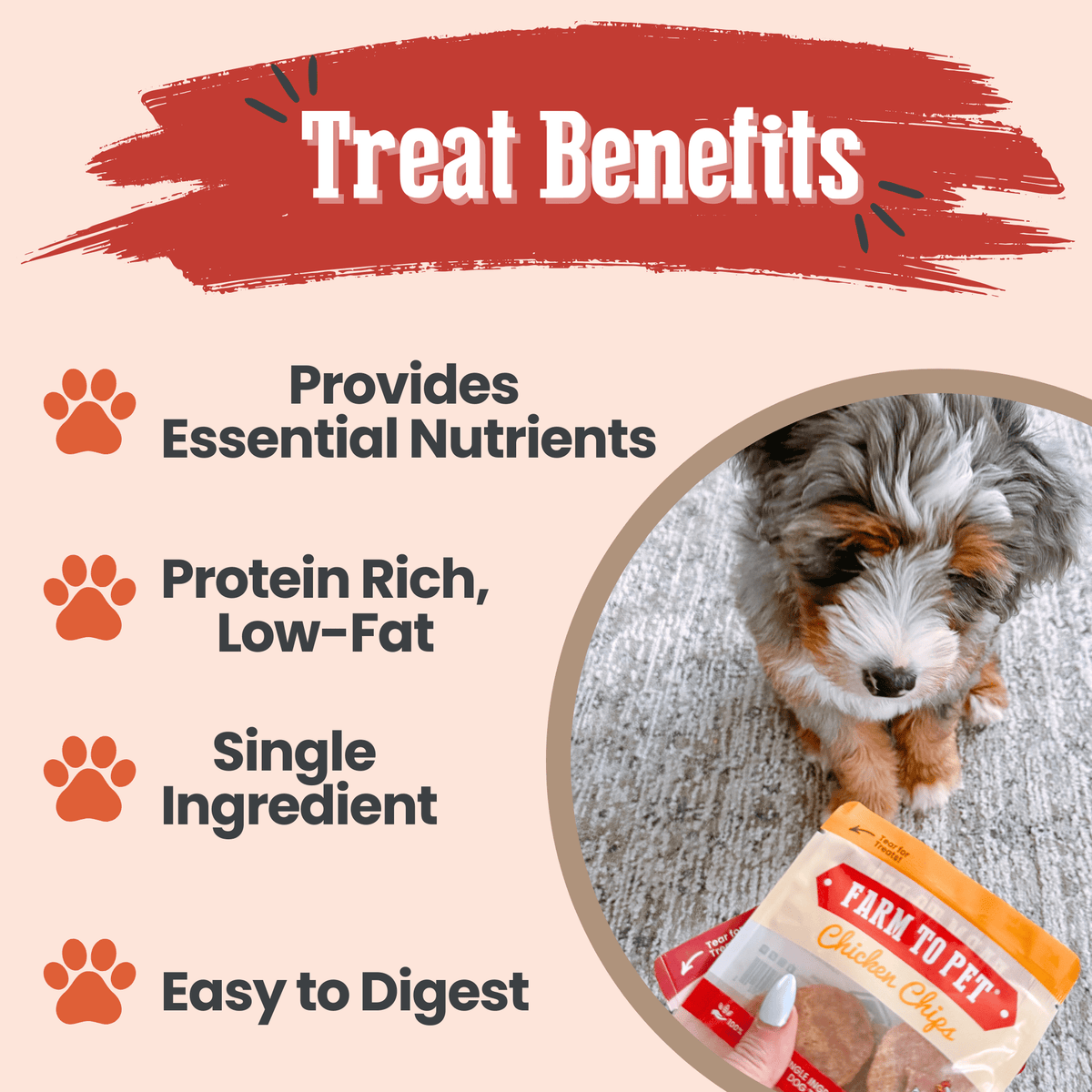 Puppy Packs 'n Snacks Dog Treat Starter Pack | Single-Ingredient Training Treats - American Bark Bliss