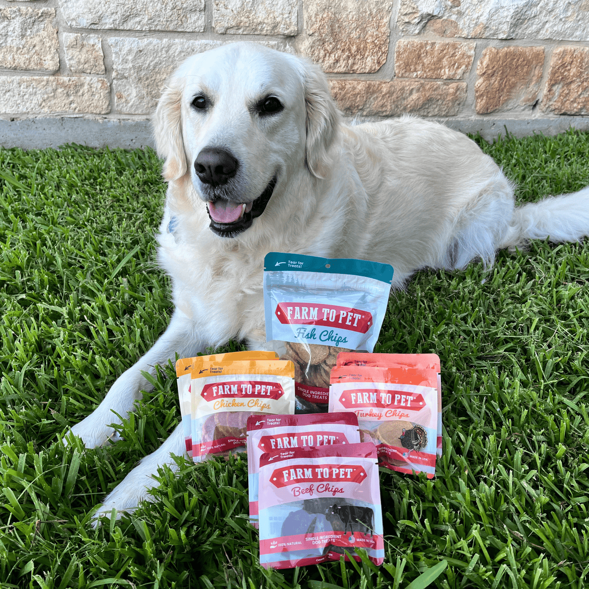 Puppy Packs 'n Snacks Dog Treat Starter Pack | Single-Ingredient Training Treats - American Bark Bliss