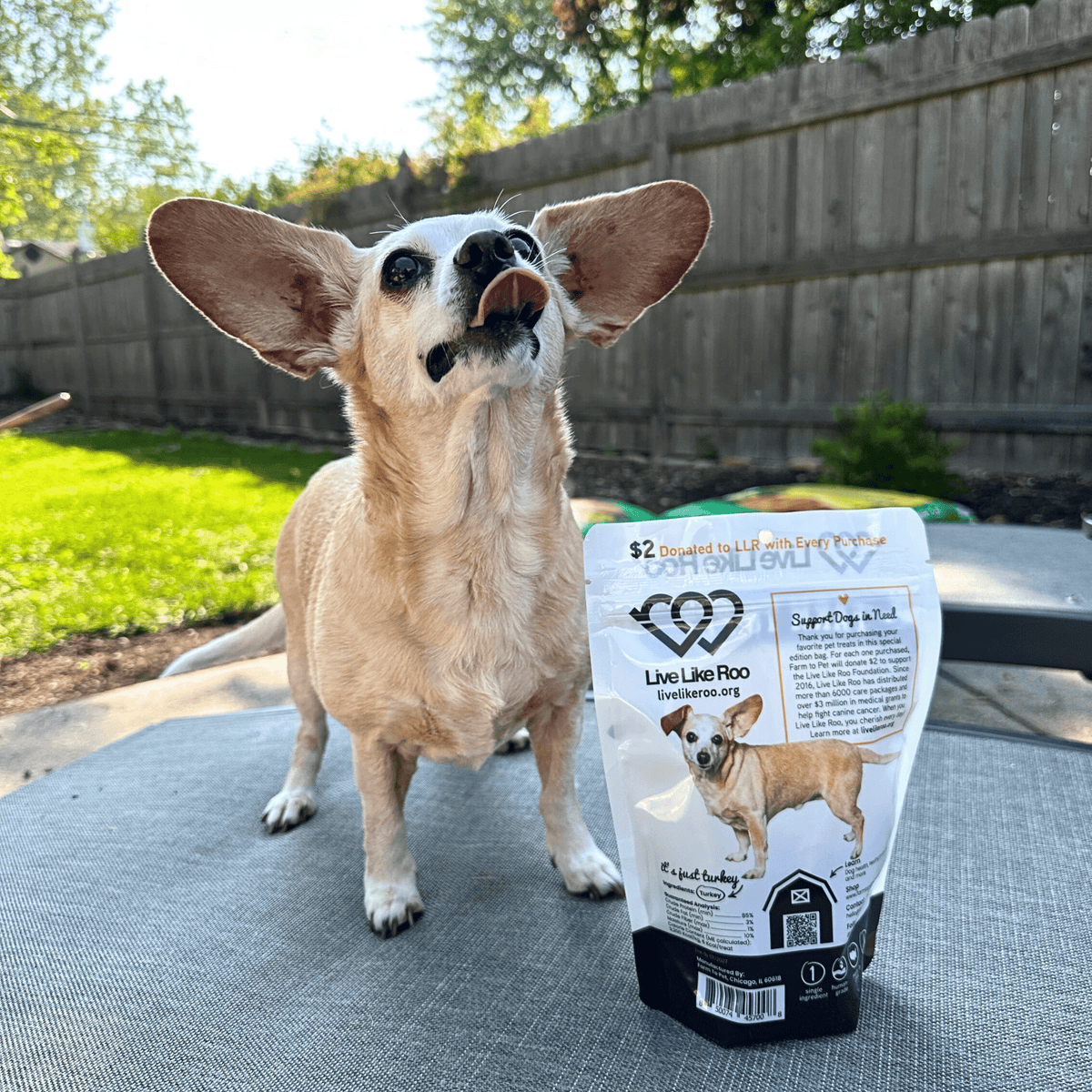 Live Like Roo Turkey Chips for Dogs | Dog Treats That Give Back - American Bark Bliss