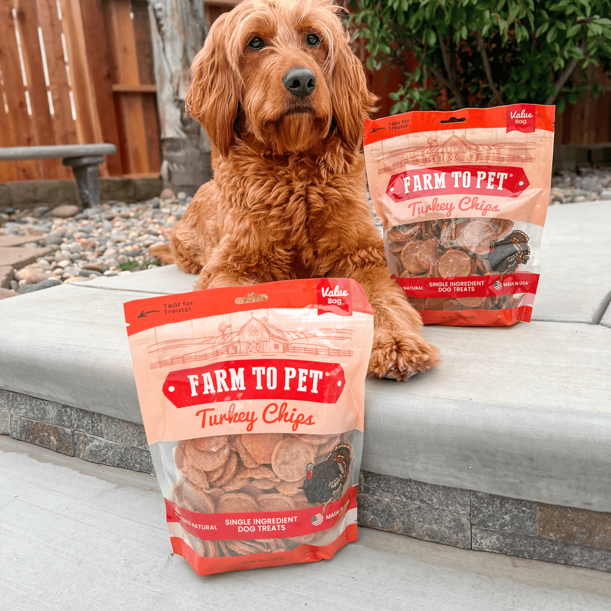 Turkey Chips for Dogs | All-Natural Single-Ingredient Healthy Dog Treats - American Bark Bliss
