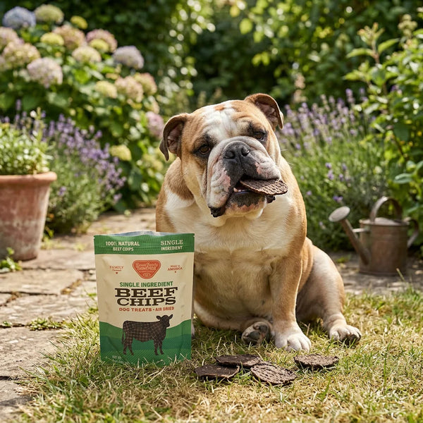 Savory Beef Dog Treats