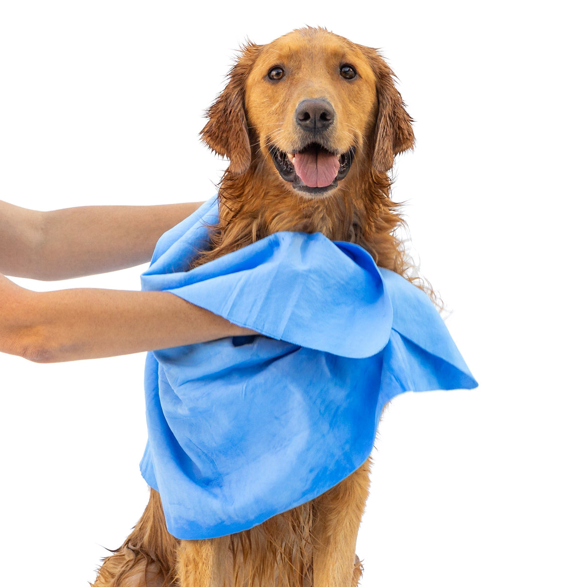 Quick Drying Dog Shammy Towel with Rapid Dry Tech - American Bark Bliss