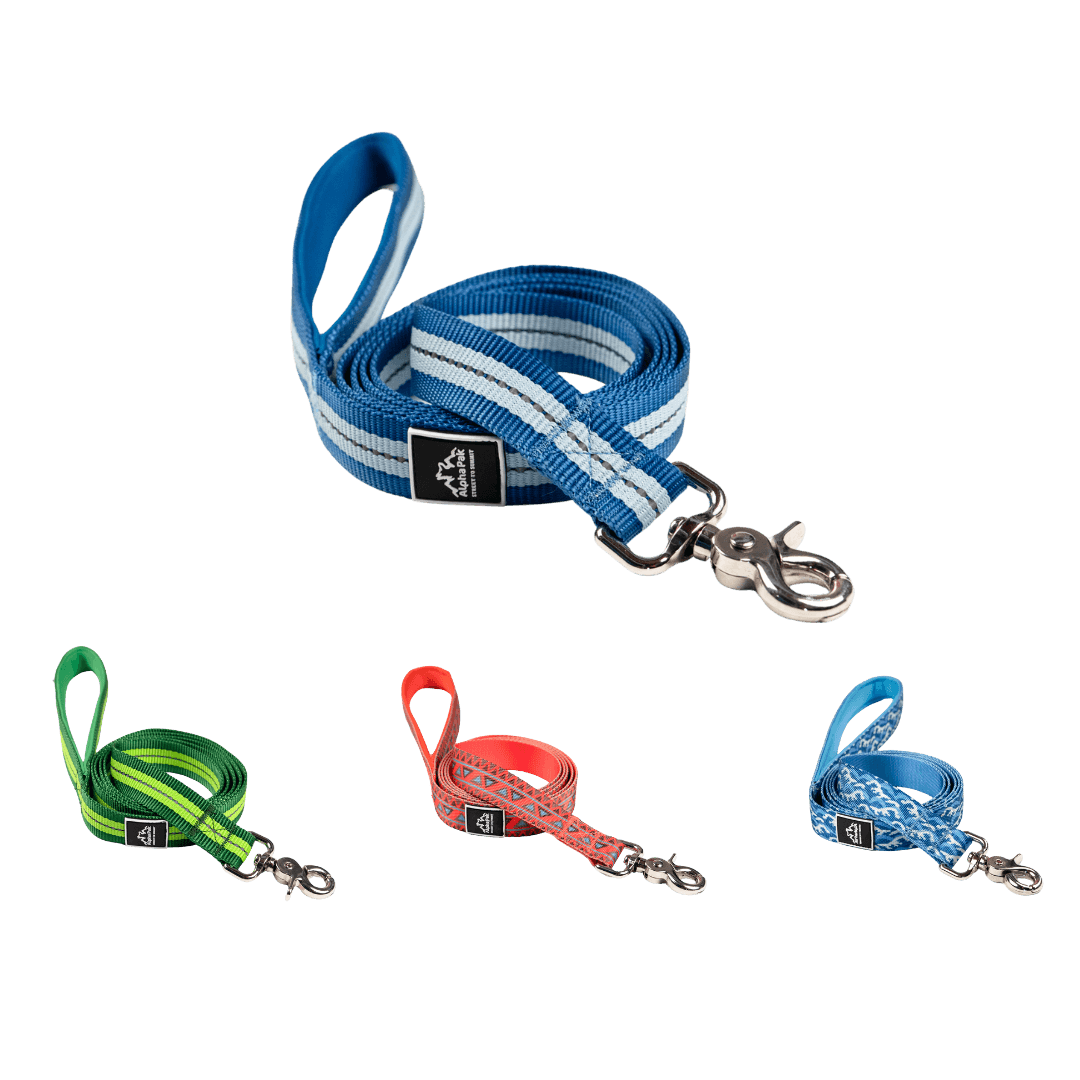 Durable Flat Dog Leash – Classic Adventure Style - American Bark Bliss