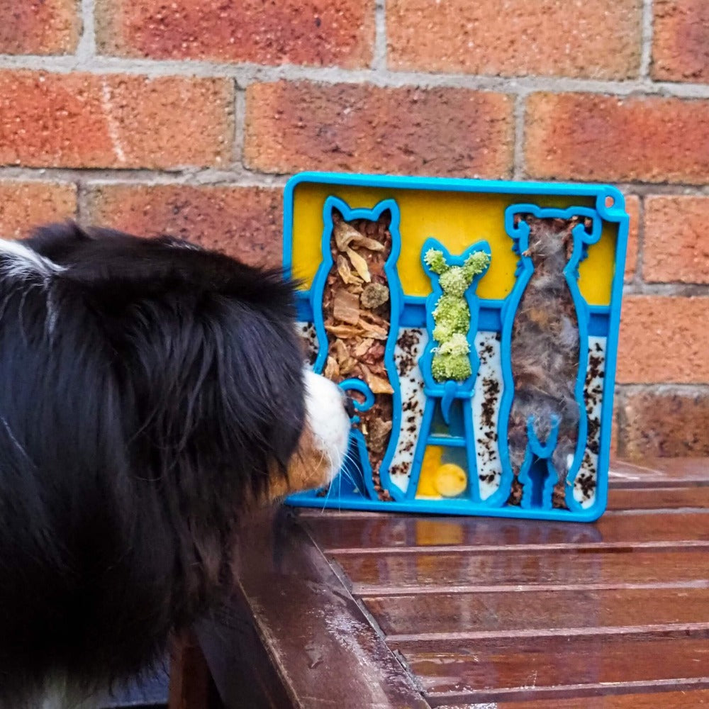 Waiting Dogs eTray - Shallow Slow Feeder Bowl for Enrichment | USA Made - American Bark Bliss
