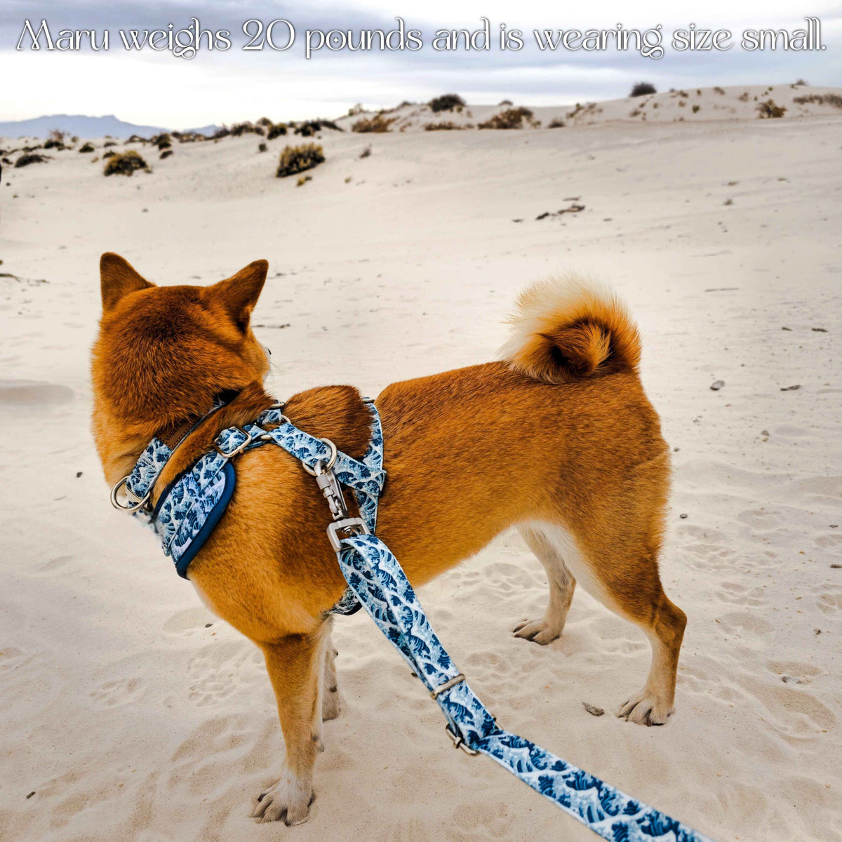 Great Wave Harness - American Bark Bliss