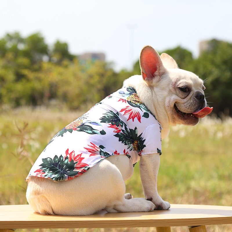 Stylish Hawaiian Dog Shirts for Summer by Furr Baby Gifts