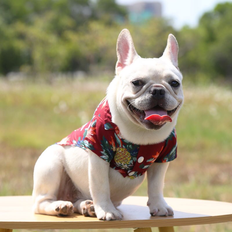 Stylish Hawaiian Dog Shirts for Summer by Furr Baby Gifts