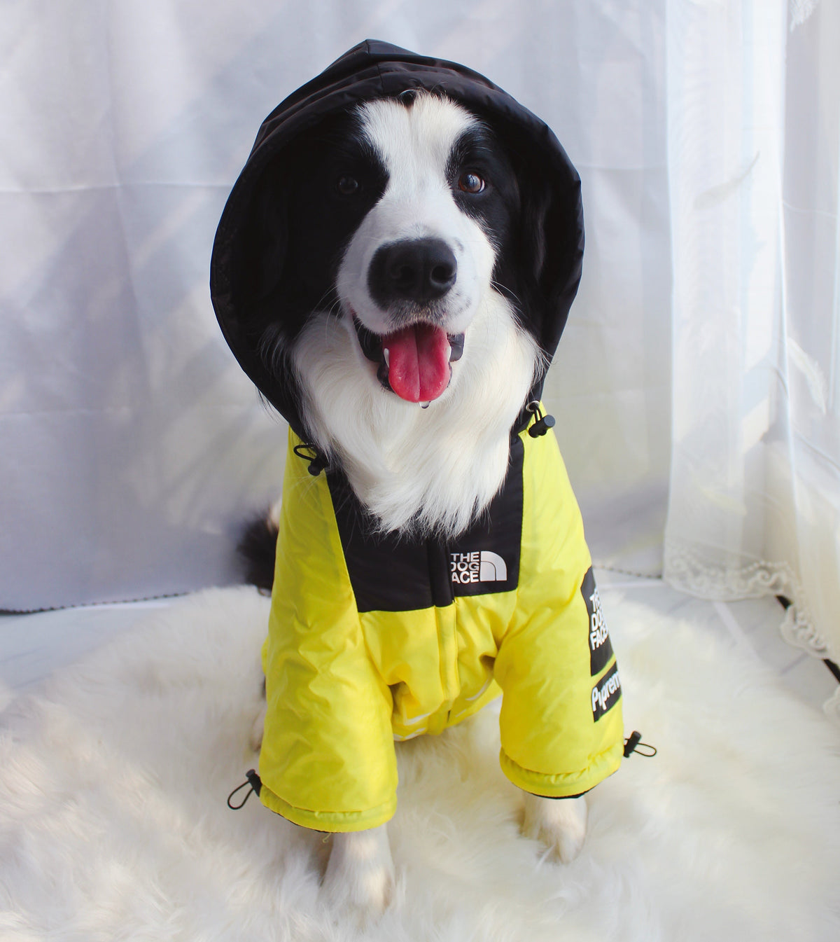 Dog Face Windproof Waterproof Reflective Pet Jacket - American Bark Bliss