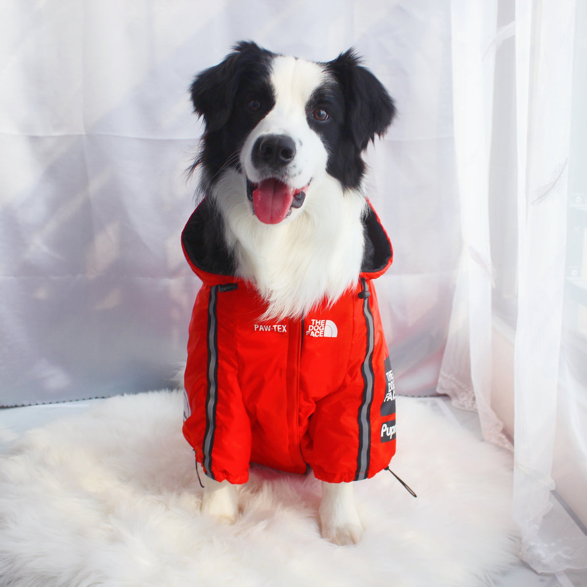 Dog Face Windproof Waterproof Reflective Pet Jacket - American Bark Bliss