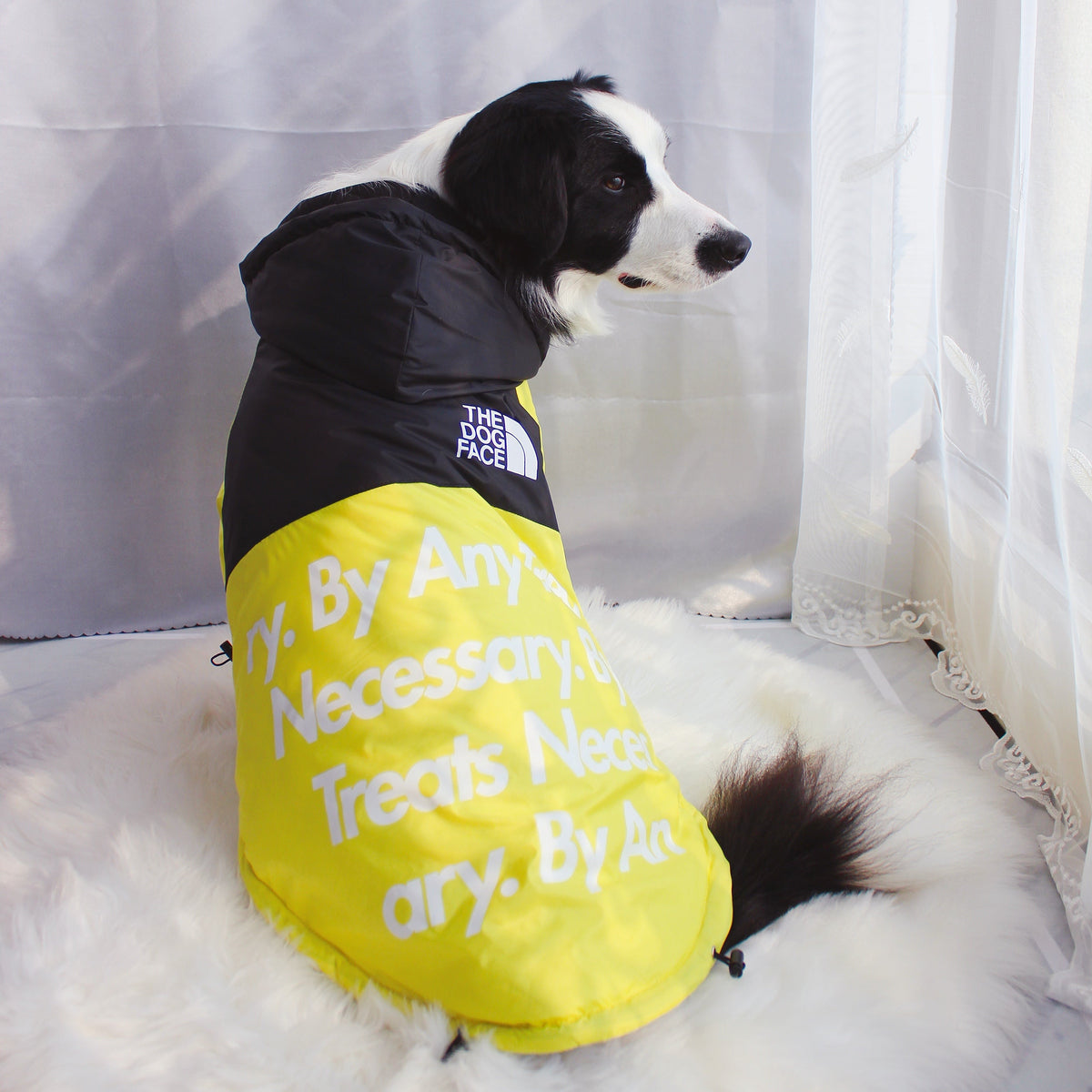 Dog Face Windproof Waterproof Reflective Pet Jacket - American Bark Bliss