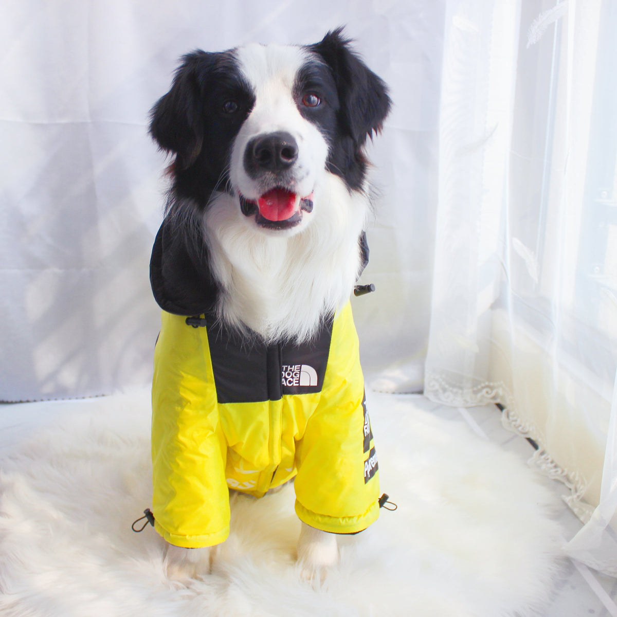 Dog Face Windproof Waterproof Reflective Pet Jacket - American Bark Bliss