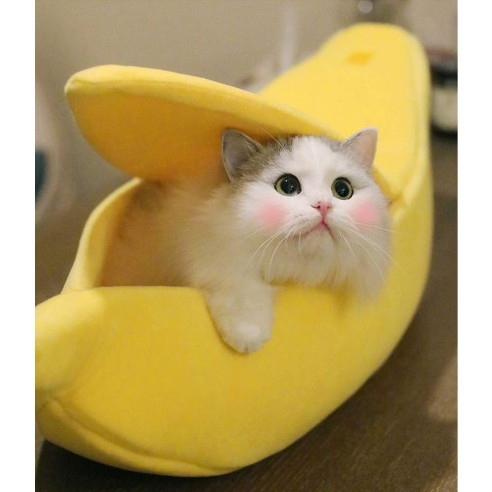 Banana Cat Dog Pet Bed for Pets - American Bark Bliss