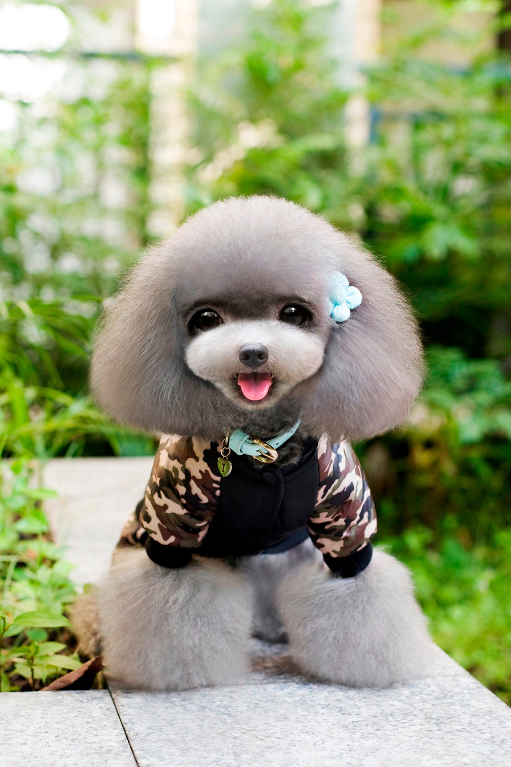 FBI Camouflage Dog Jumpsuit Pants - American Bark Bliss