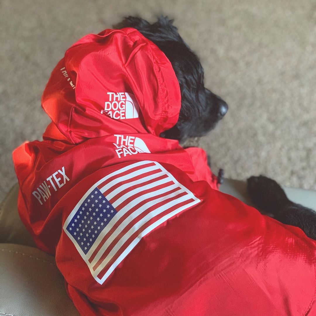 Dog Face Windproof Waterproof Reflective Pet Jacket - American Bark Bliss