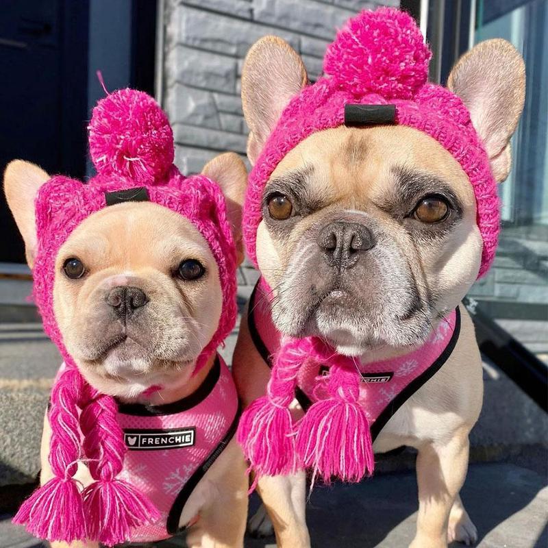 Knitted Pet Hats with Fluffy Ball for Winter - American Bark Bliss