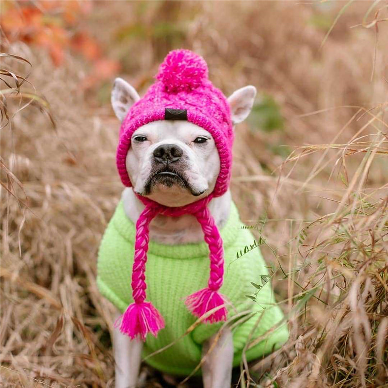 Knitted Pet Hats with Fluffy Ball for Winter - American Bark Bliss