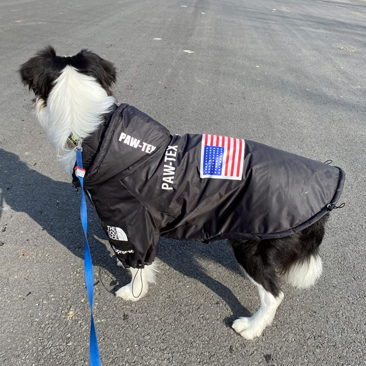 Dog Face Windproof Waterproof Reflective Pet Jacket - American Bark Bliss