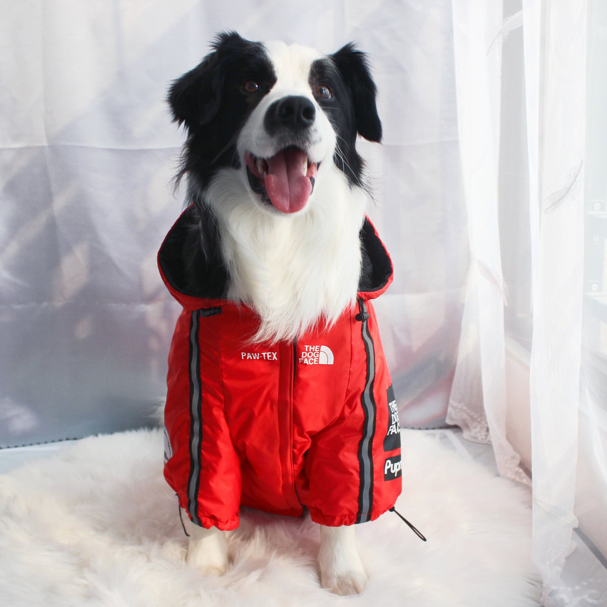 Dog Face Windproof Waterproof Reflective Pet Jacket - American Bark Bliss