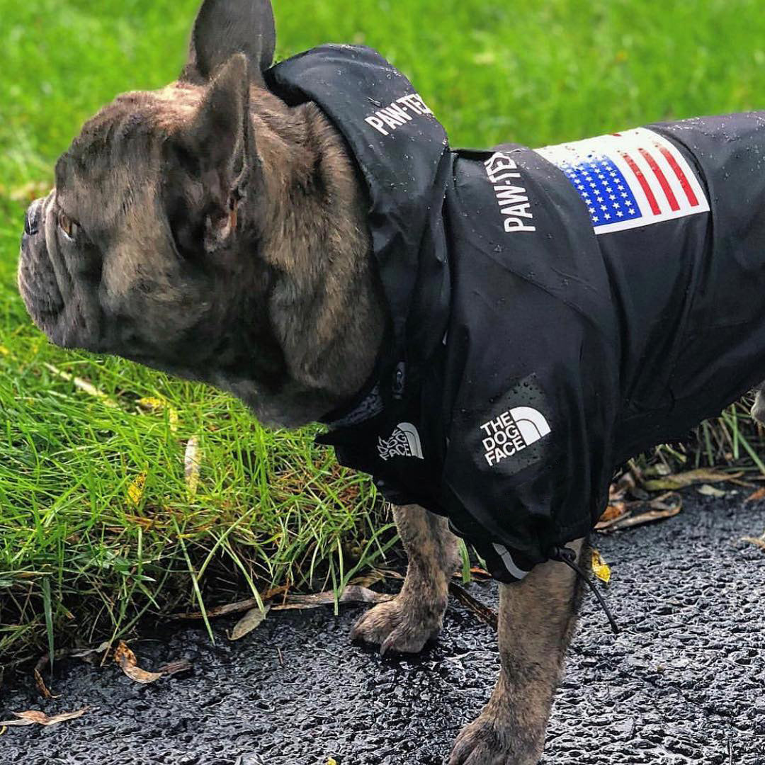Dog Face Windproof Waterproof Reflective Pet Jacket - American Bark Bliss