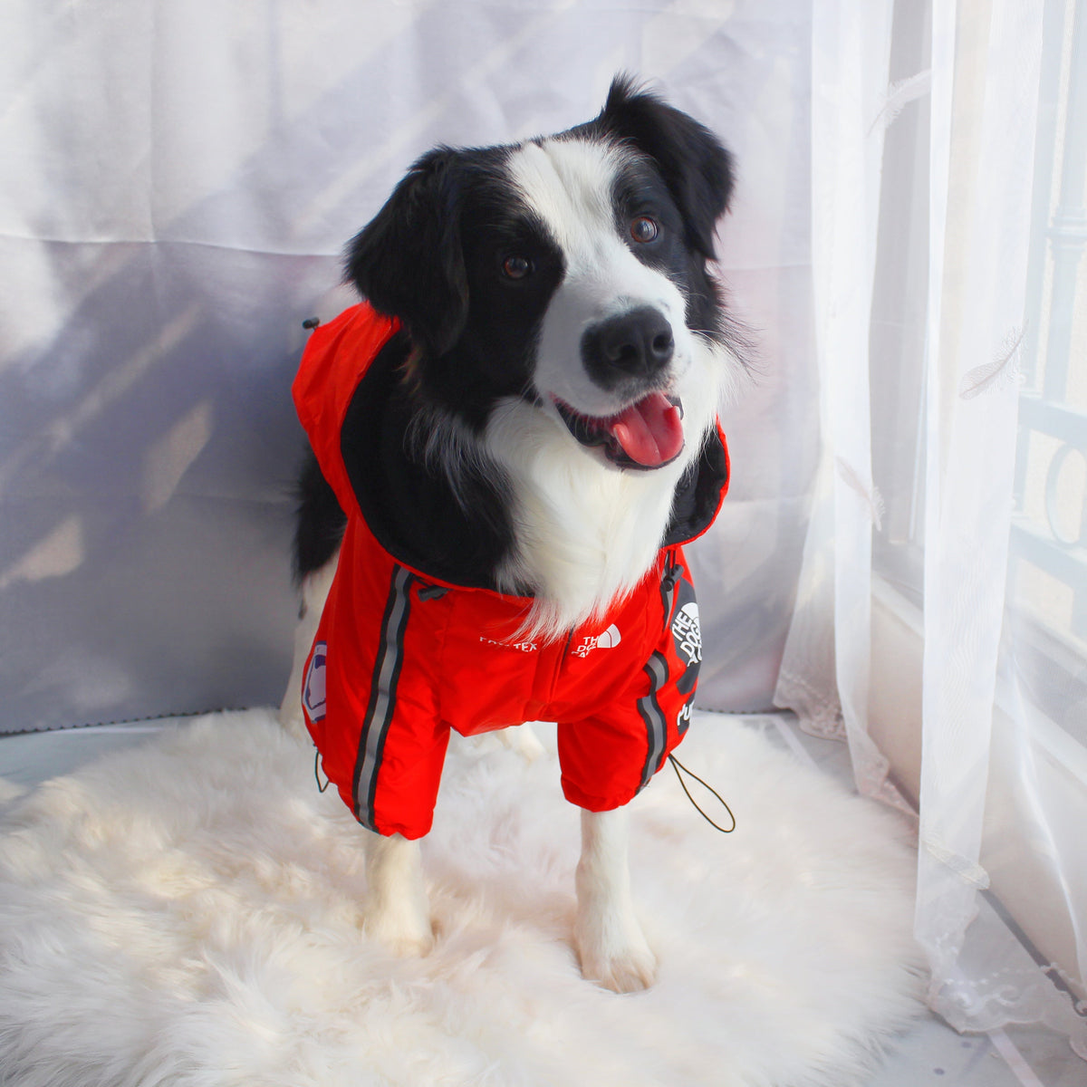 Dog Face Windproof Waterproof Reflective Pet Jacket - American Bark Bliss