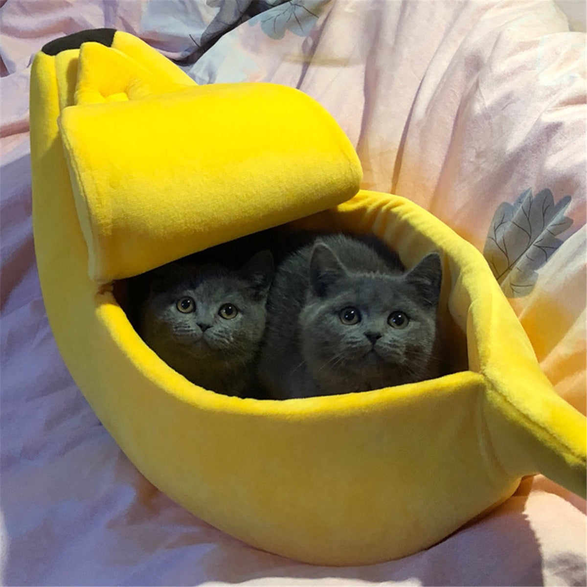 Banana Cat Dog Pet Bed for Pets - American Bark Bliss