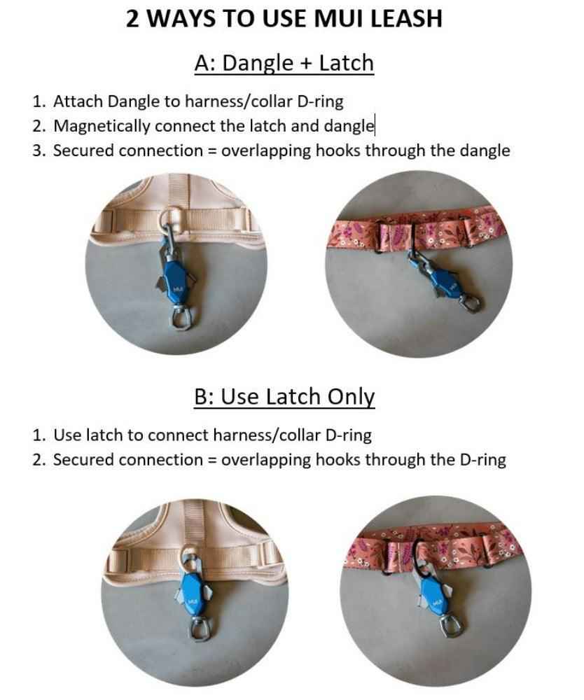 Patented Magnetic Dog Leash - American Bark Bliss