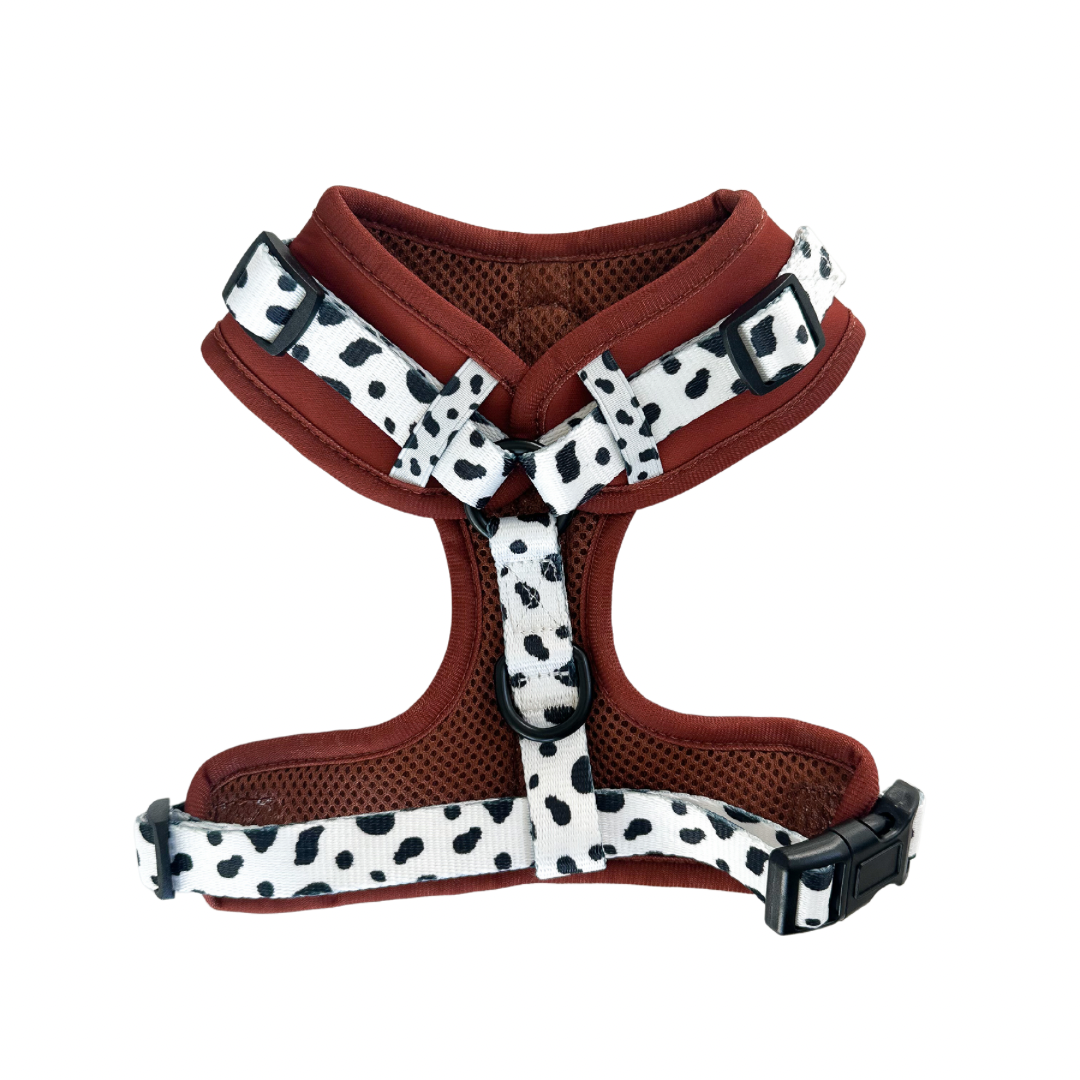 Spotted Ember Adjustable Harness - American Bark Bliss