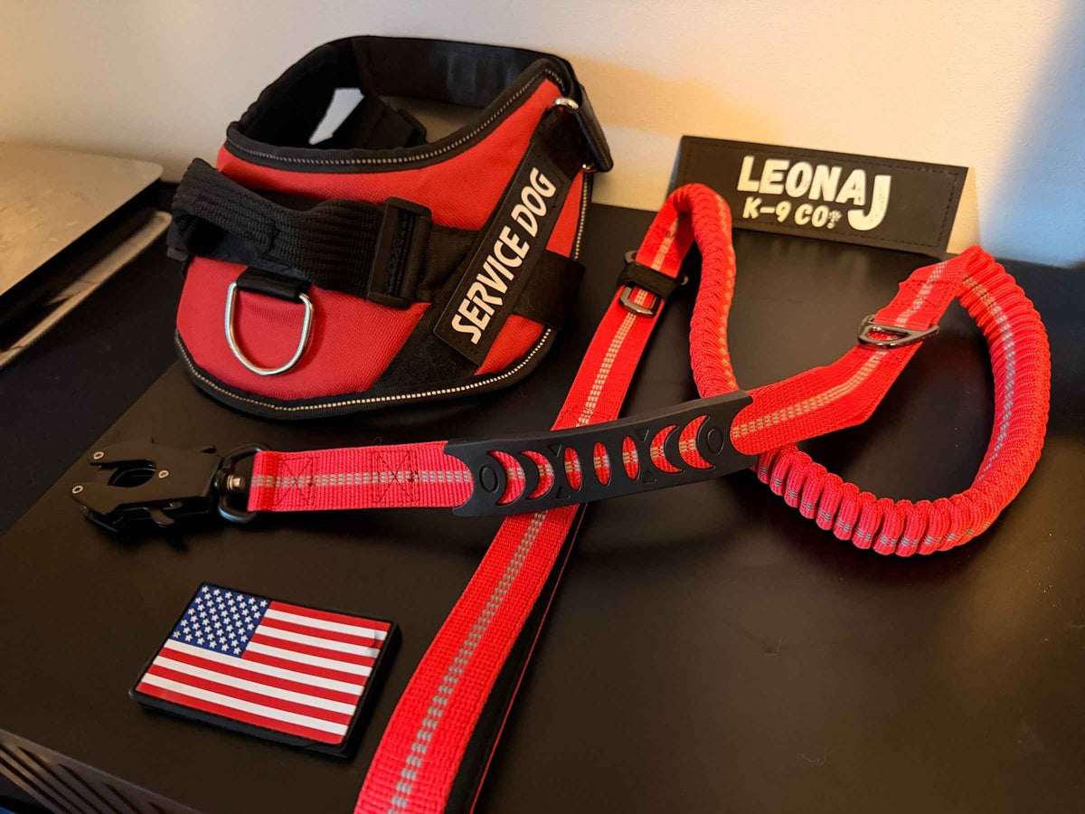 No-Pull Safety & Service Dog Harness
