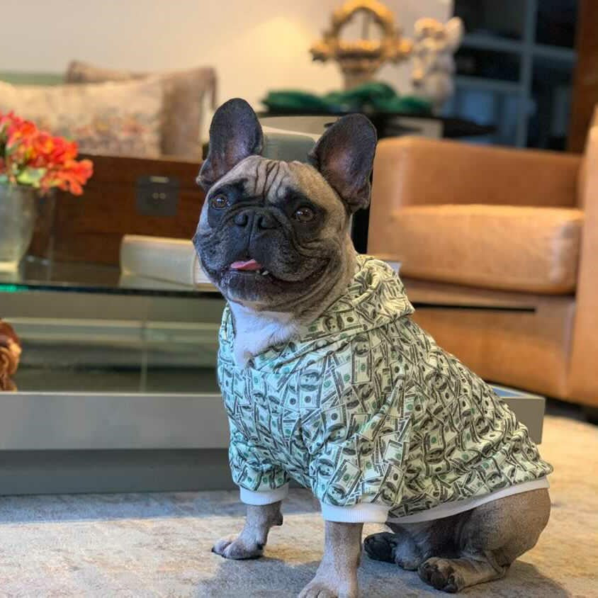 Trendy Money Print Dog Hoodie for Stylish Pets - American Bark Bliss