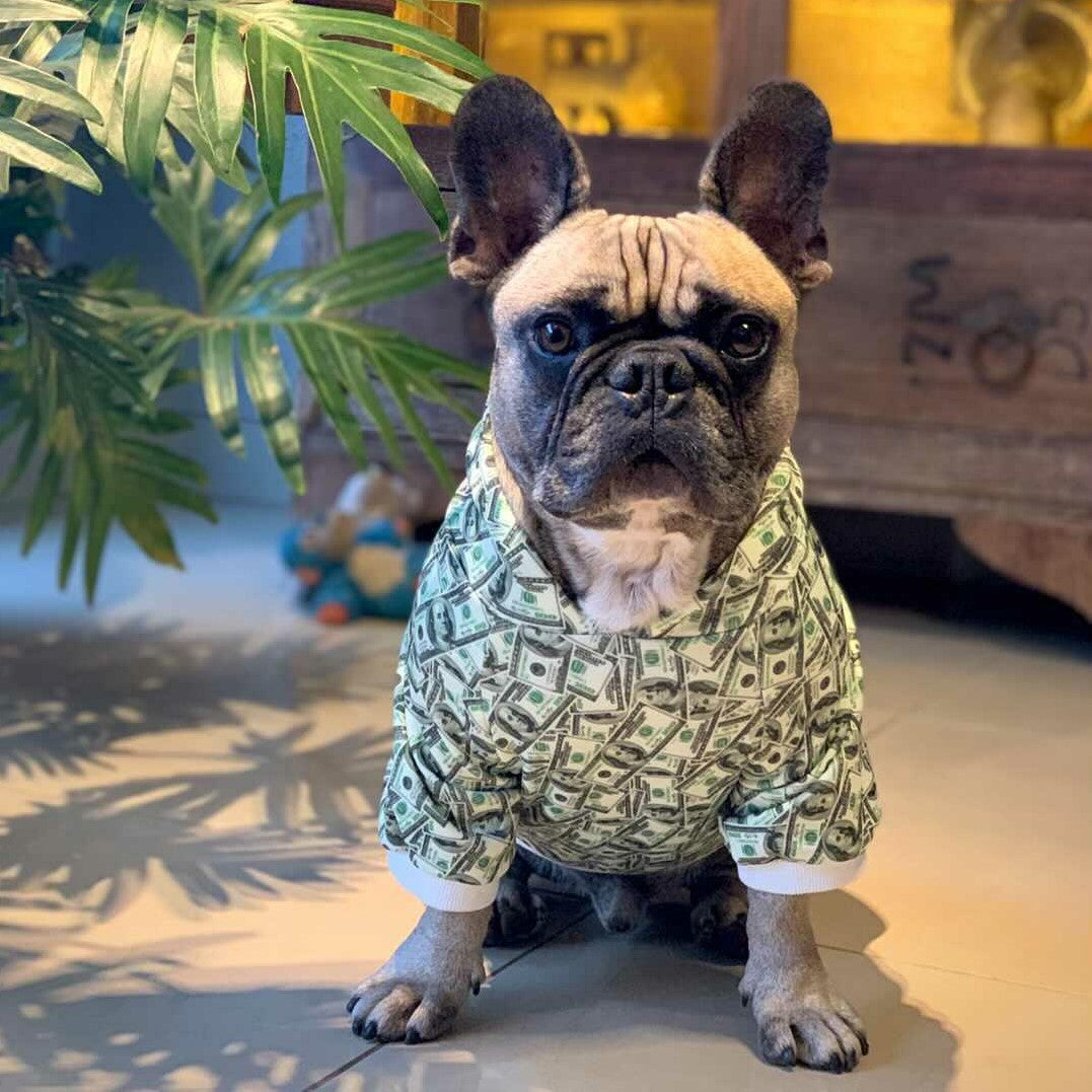 Trendy Money Print Dog Hoodie for Stylish Pets - American Bark Bliss