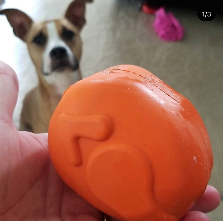 Roasted Turkey eDispenser Durable Rubber Chew Toy & Treat Dispenser - Large - 25% off! - American Bark Bliss