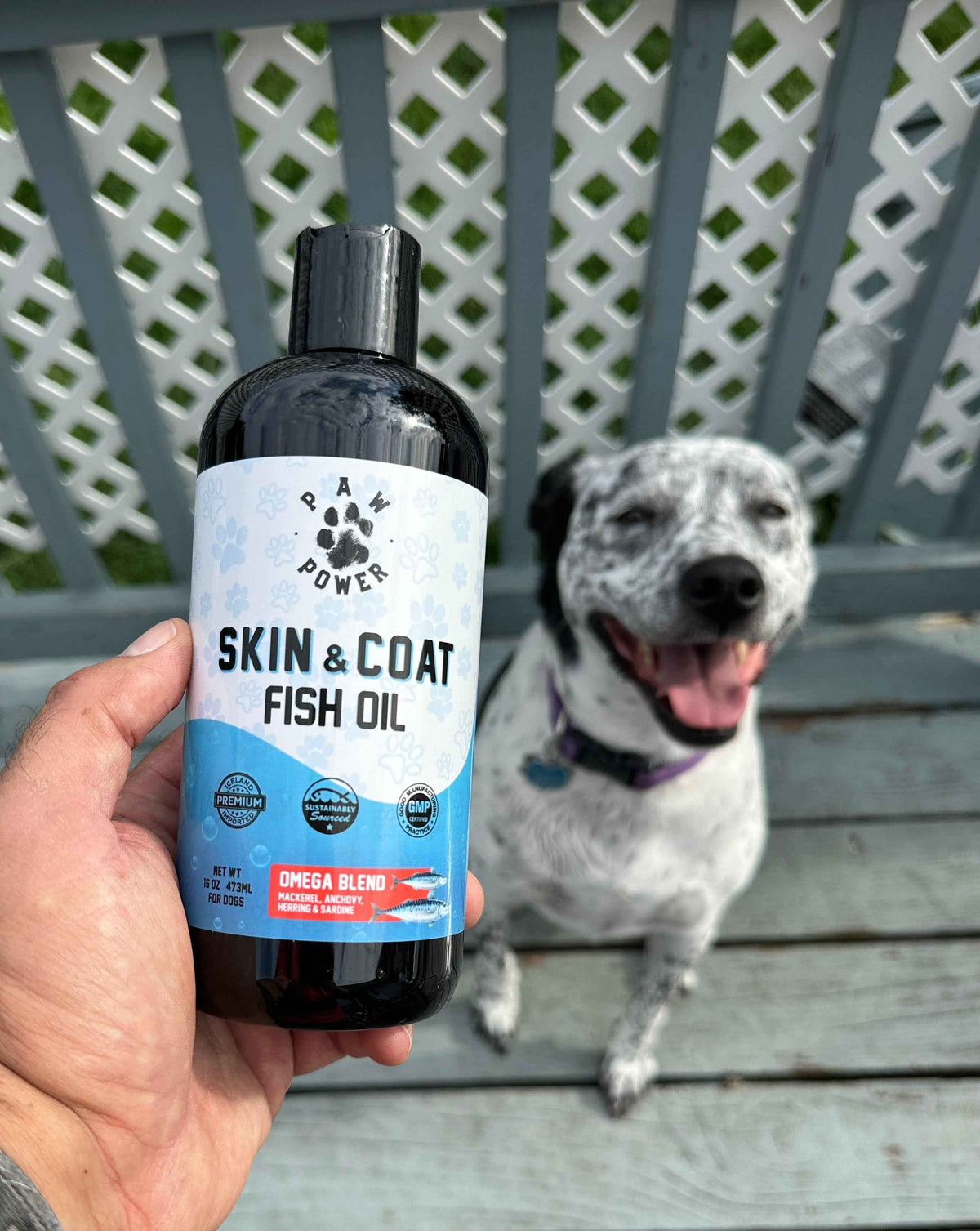 Dawg Health Skin & Coat - American Bark Bliss