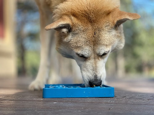Waiting Dogs eTray - Shallow Slow Feeder Bowl for Enrichment | USA Made - American Bark Bliss