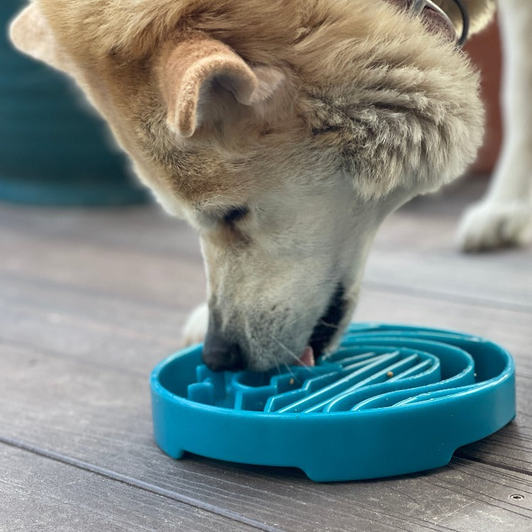Baja Design eTray - Shallow Slow Feeder Dog Bowl for Enrichment | USA Made - American Bark Bliss