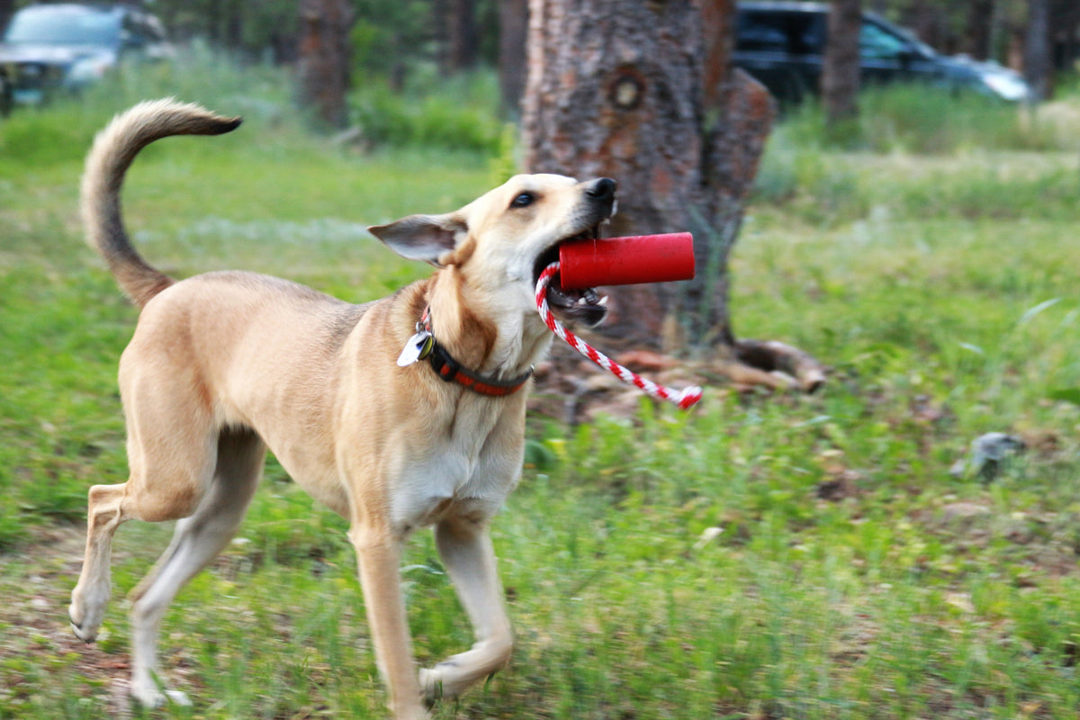 USA-K9 Firecracker Durable Rubber Floating Training Dummy - Large - Red - American Bark Bliss