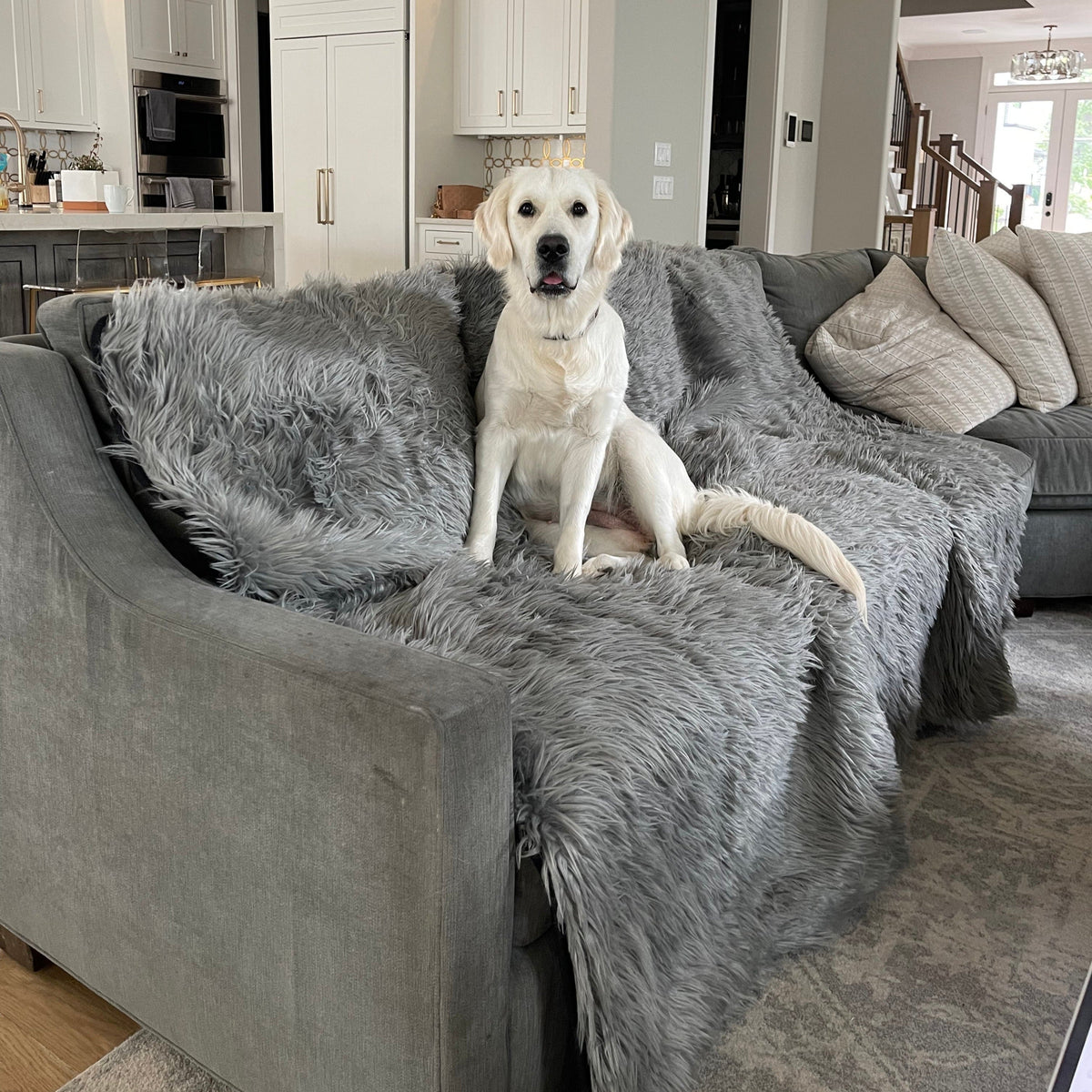 Waterproof Dog Throw Blanket - Protect Your Furniture - American Bark Bliss