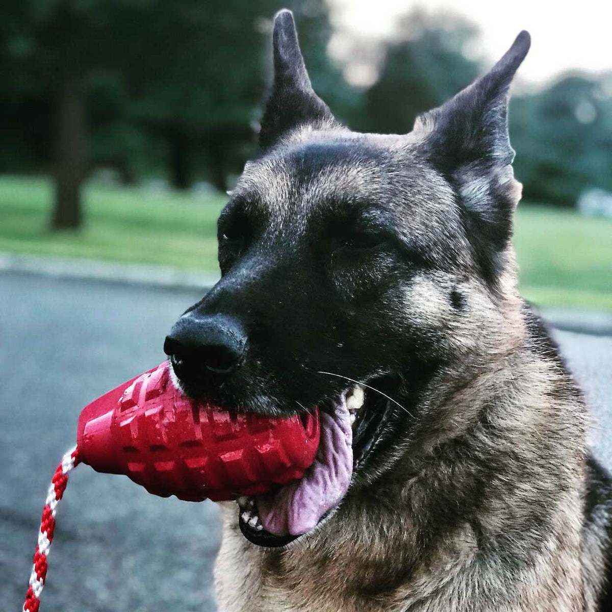 USA-K9 Grenade Shaped Rubber Dog Toy - Chew, Treat Dispenser & Tug Toy | USA - Army Green - American Bark Bliss