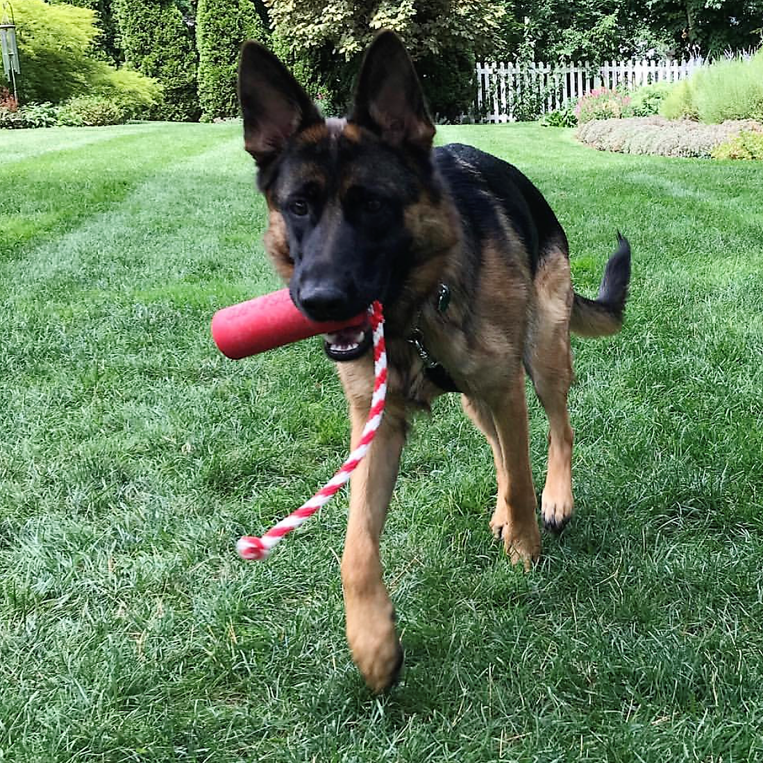 USA-K9 Firecracker Durable Rubber Floating Training Dummy - Large - Red - American Bark Bliss