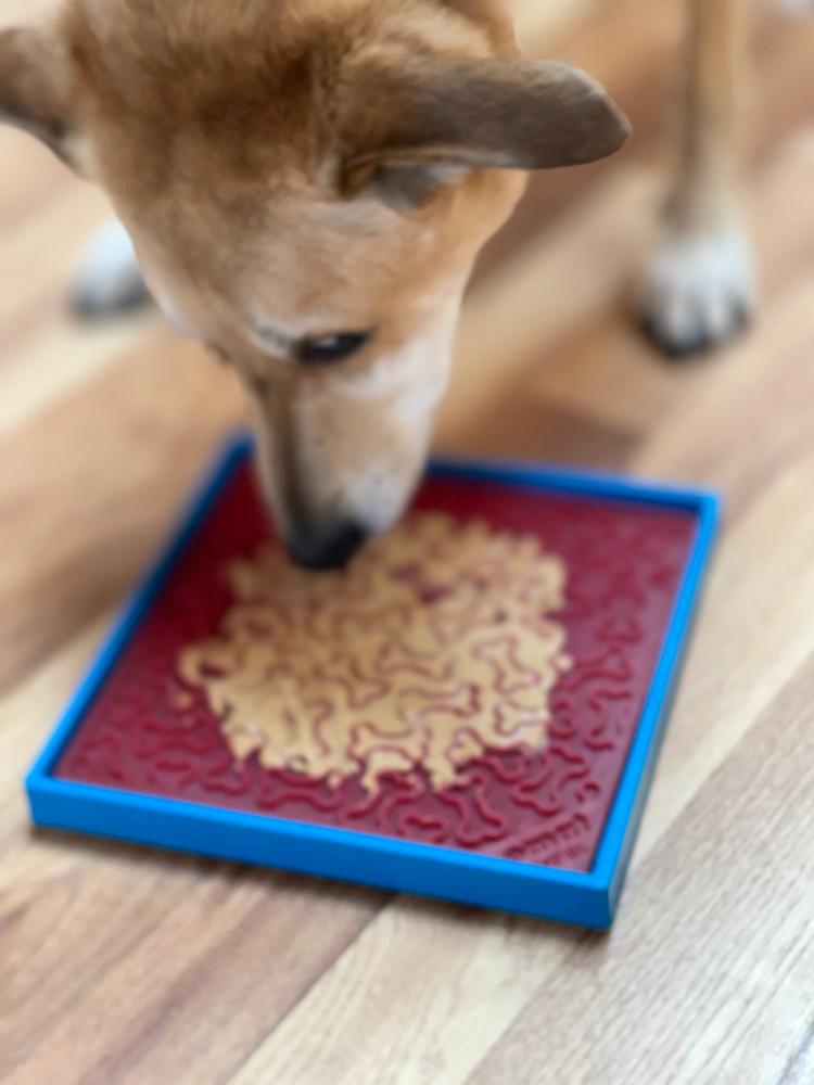 Hold 'em Suction Cup Holder for Dog Bowls & Lick Mats | USA Made - American Bark Bliss